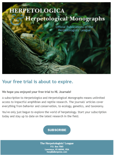 Convert Website Visitors To Paid Subscribers 1