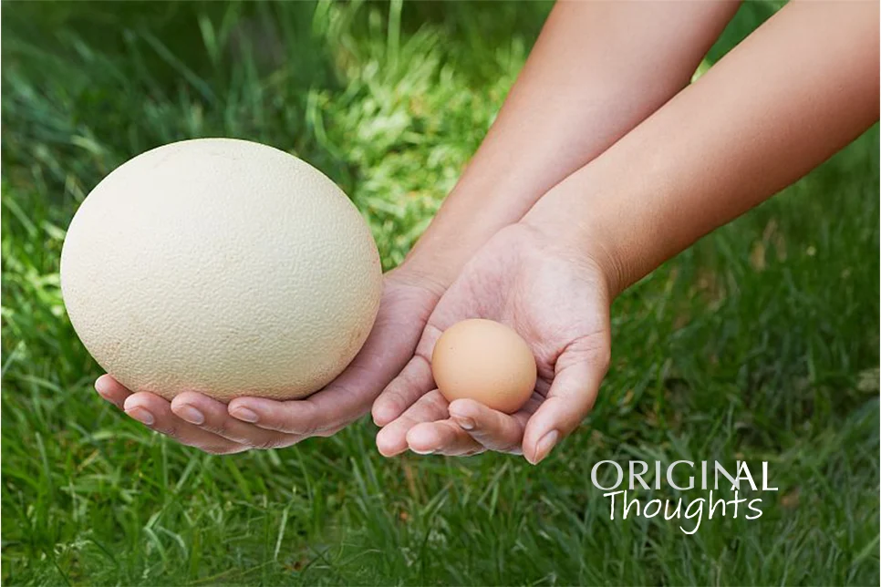 Comparing The Hard To Compare 966 Px