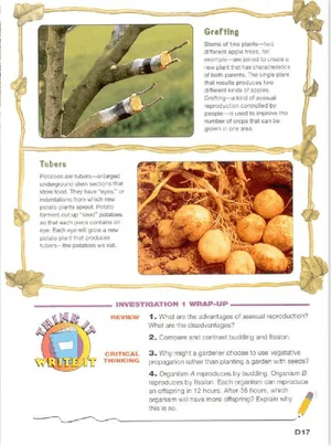 Screen+shot+2015 08 27+at+12.05.48+pm