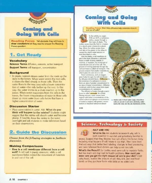 Screen+shot+2015 08 27+at+12.07.56+pm