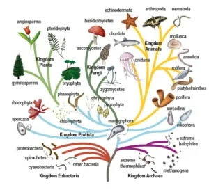 Screen+shot+2017 08 02+at+10.18.43+am