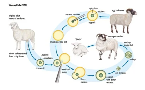 Screen+shot+2017 08 02+at+10.18.53+am