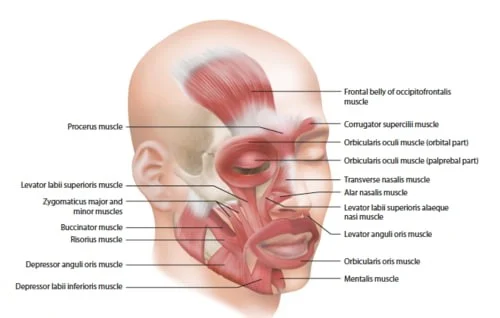 Screen+shot+2017 08 02+at+10.20.48+am