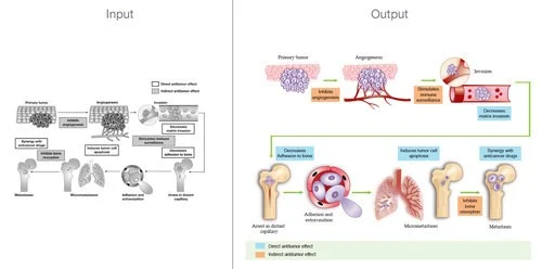 Journal Art Design Antitumor Effect