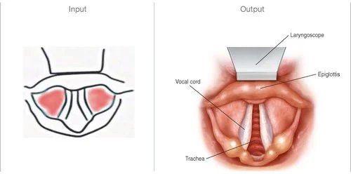 Journal Art Design Laryngscope