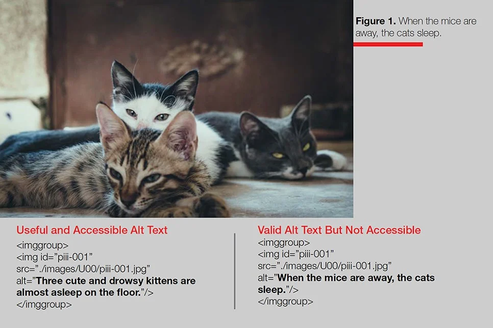 Valid+alt+text+is+not+the+same+as+useful+and+accessible
