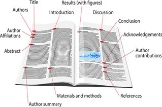 3 22 23 Image 3