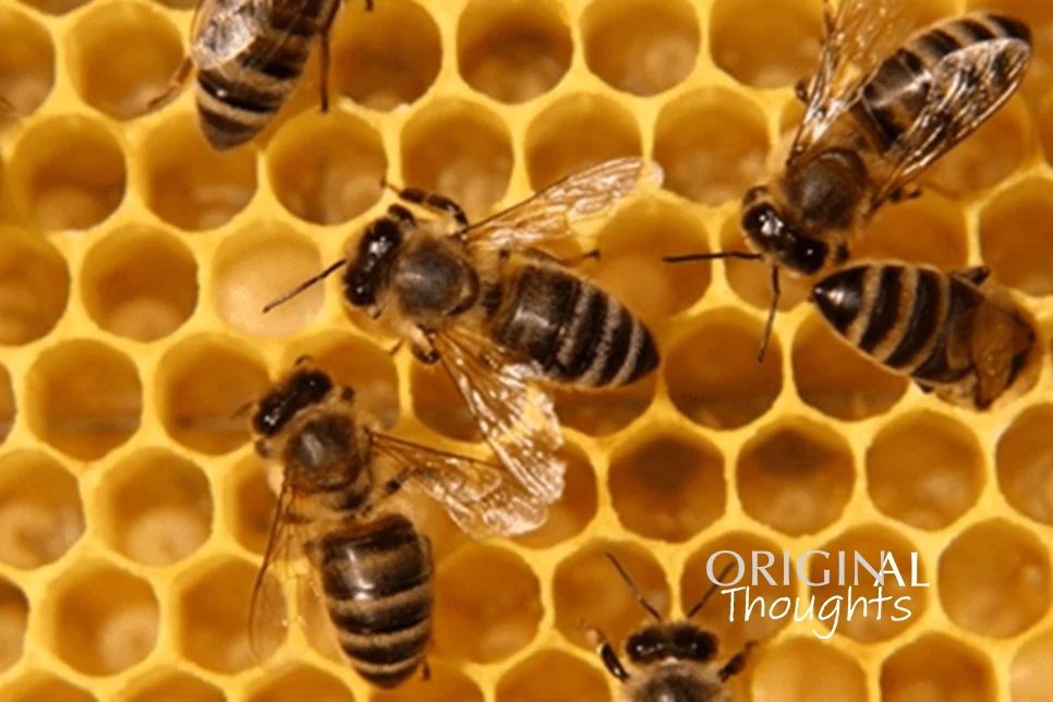 The Latest Buzz In Our Biz