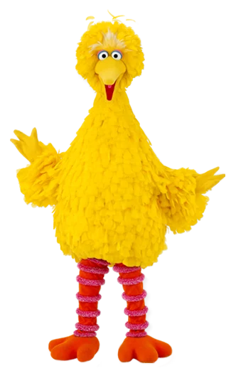 Big Bird Big Bird