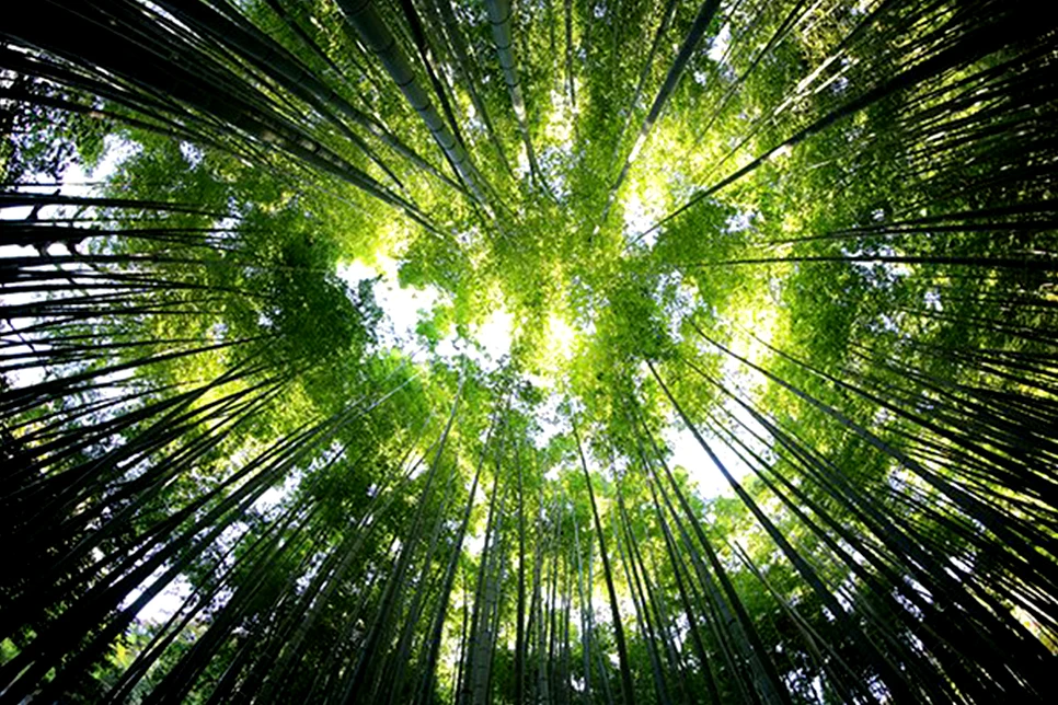 Publishing and the Climate Emergency: the Monumental Challenge Ahead