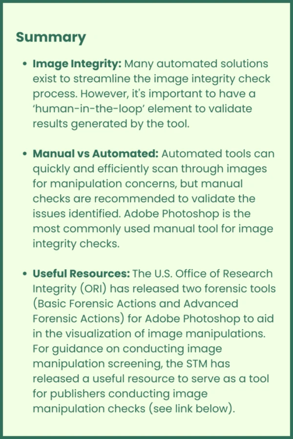Image Integrity 683x1024